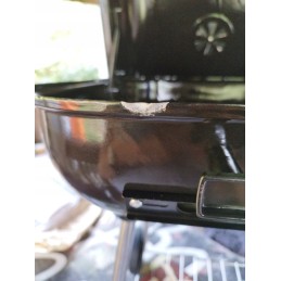 Sodo anglies grilis su dangteliu ant ratų