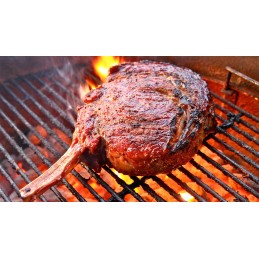 Sodo grilis su dangčiu ant ratų