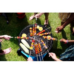 Židinys, kepsninė, laužavietė su grotelėmis ant 2 viename rėmo