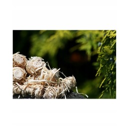 ⭐⭐ Eco kindling xfire fire starteris židinio griliui 5 kg⭐⭐