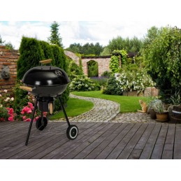 Sodo anglis grilis su pelenų keptuvėje, metalinės apvalios grotelės su dangteliu