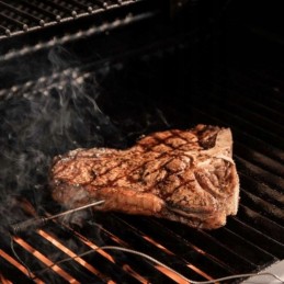 Elektroninis termometras su zondu Broil King 61935