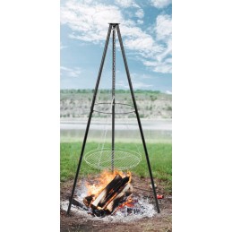 ️Sodo anglies grilis