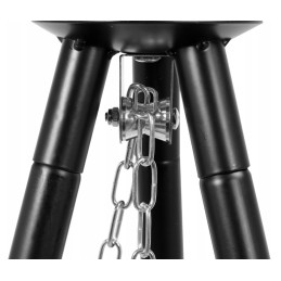 ️Sodo anglies grilis