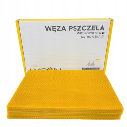 Didžiosios Lenkijos bičių gyvatė Łysoń 1 kg išbandyta