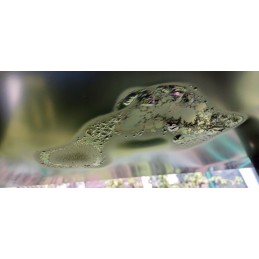 Klasikinis kepimas ant grotelių!