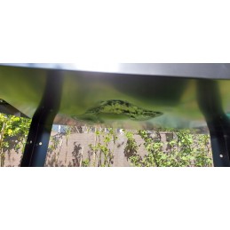 Klasikinis kepimas ant grotelių!