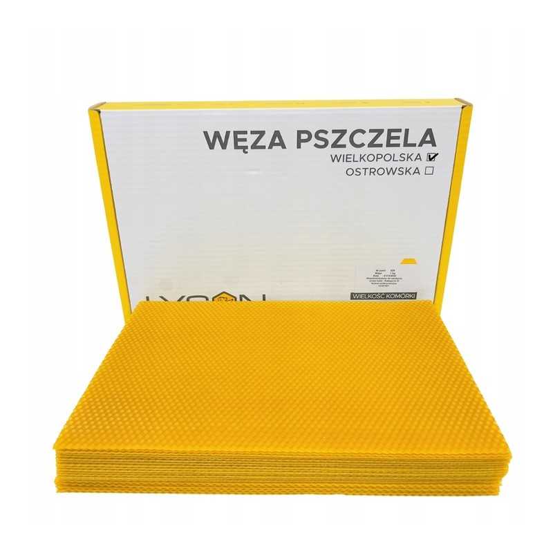 Didžiosios Lenkijos bičių gyvatė Łysoń 1 kg išbandyta