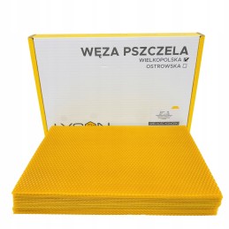 bičių gyvatė Wielkopolska Łysoń - 1 kg dėžutė