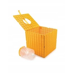 Multibox skirta bitėms vežti su girdykle, plastikinė