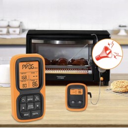 Belaidis mėsos rūkymo termometras su 2 zondais