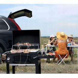 Belaidis mėsos rūkymo termometras su 2 zondais