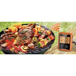 Belaidis mėsos rūkymo termometras su 2 zondais