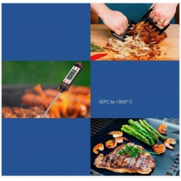 Priedų rinkinys kepsninės priedai kepsninės reikmenys plieninių žnyplių dėklas