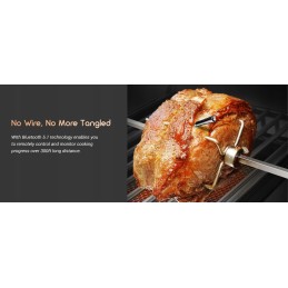 Inkbird termometras 11p belaidžio zondo rūkymo grotelių dėklas