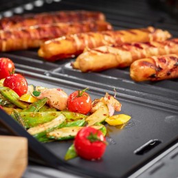 Rosle dvipusė ketaus kepsninė, skirta videro g2 g3 g4 g6 45x24 cm