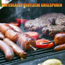 Ketaus grotelės 43 x 63 cm, skirtos Enders Boston 3 Monroe Pro 3