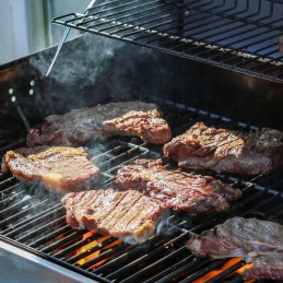 Ketaus grotelės 43 x 63 cm, skirtos Enders Boston 3 Monroe Pro 3