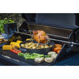 Rozen griliui su Sahara varikliu