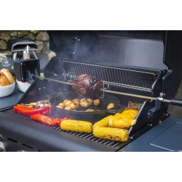 Rozen griliui su Sahara varikliu