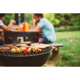 Sodo kepsninė su dangteliu ir pelenine