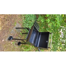 ➡️ Sodo anglies grilis Landgraf bbq party