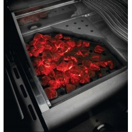 Napoleono ketaus grilio padėklas, skirtas anglims ir grilio rūkymui