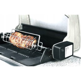 Rotorinis iešmas Australijos lauko kepsniams