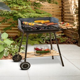 Grilis su anglimis 54x34 cm mg905 mastergrill&party