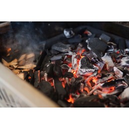 Napoleono anglies įdėklas dujinėms kepsninėms