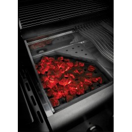 Napoleono anglies įdėklas dujinėms kepsninėms