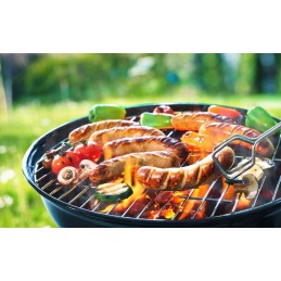 Sodo grilis su dangčiu ant ratų