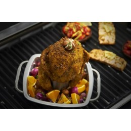 Broil king vištienos stovas su kepimo skarda