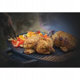 Napoleono ketaus plokštė kelionėmsq