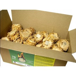 Uždegimas anglims/ekožirnių anglims 70 vnt  2 kg