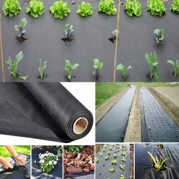 Agrotekstilė nuo piktžolių matinė juoda UV agrotekstilė 1,6x10m 50g/m2 storio