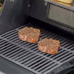 Ketaus grotelės apie 35 x 45 cm Santos 848