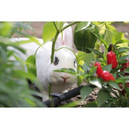 Vandens kablio kamštis lašelinėms linijoms montuoti, 50 vnt