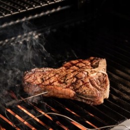 Termometras su dviem zondais 61935