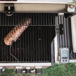 Termometras su dviem zondais 61935