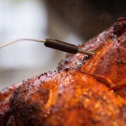 Termometras su dviem zondais 61935