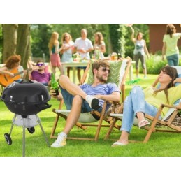 ⭐⭐Sodo anglies kepsninė briketams, uždara, dangtis, kepsninė, lentyna⭐⭐