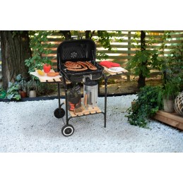 Anglies grilis su dangteliu ir reguliuojamomis grotelėmis