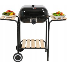 Anglies grilis su dangteliu ir reguliuojamomis grotelėmis