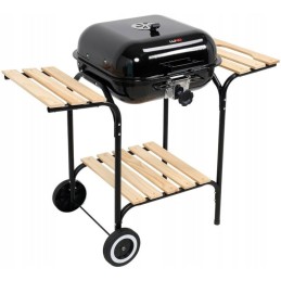 Anglies grilis su dangteliu ir reguliuojamomis grotelėmis