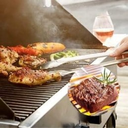 Nerūdijančio plieno grotelės 49 5 cm 2 vnt