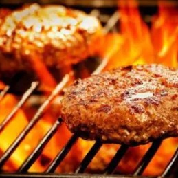 Nerūdijančio plieno grotelės 49 5 cm 2 vnt