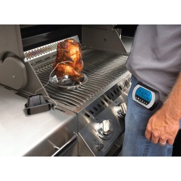 Belaidis pro napoleono termometras