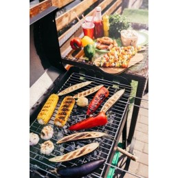 Sodo kepsninė su anglimis, 2 grotelės, 3 lentynos, ratukai