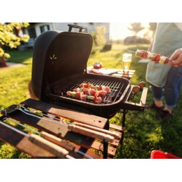 Sodo kepsninė su anglimis, 2 grotelės, 3 lentynos, ratukai